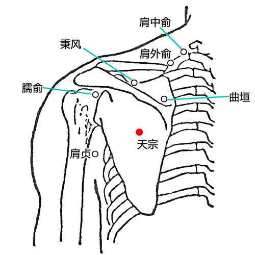 天宗 - 图片1