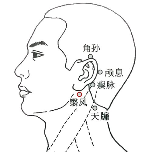 翳风 - 图片1