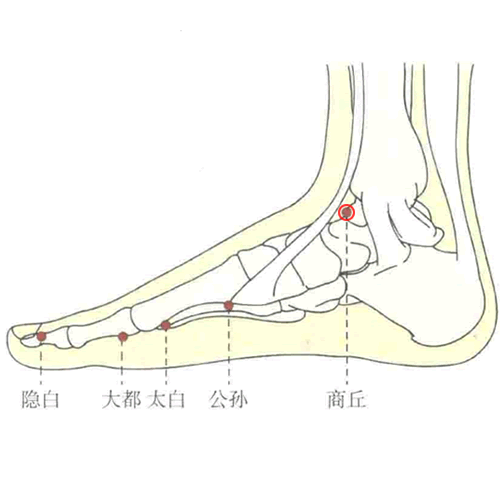 商丘 - 图片1