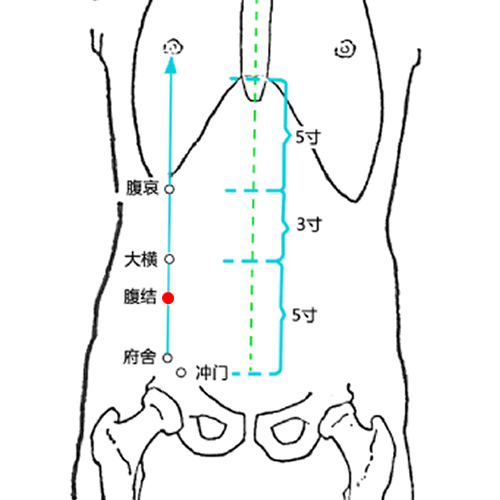 腹结 - 图片1