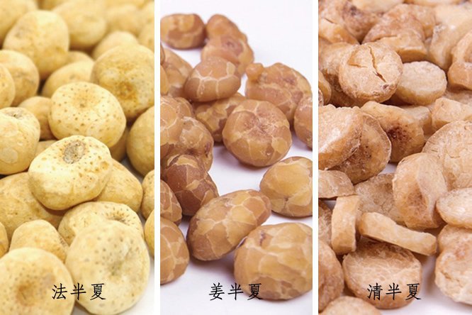 半夏 - 图片2