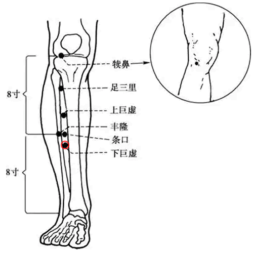 下巨虚 - 图片1