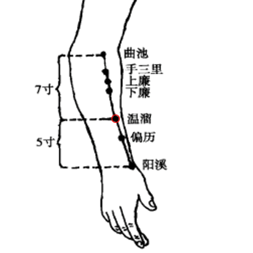 温溜 - 图片1