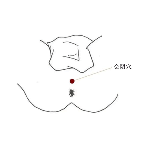 会阴 - 图片1