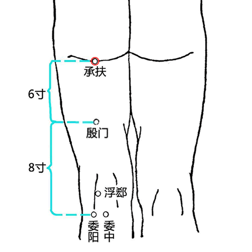 承扶 - 图片1
