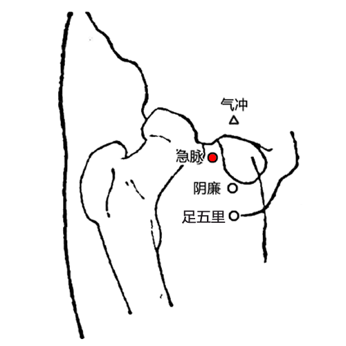 急脉 - 图片1