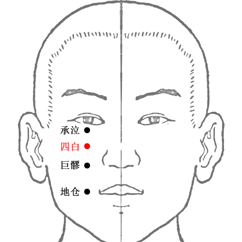 四白 - 图片1