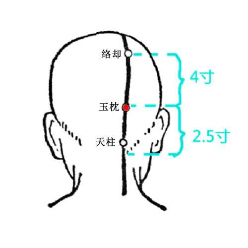 玉枕 - 图片1