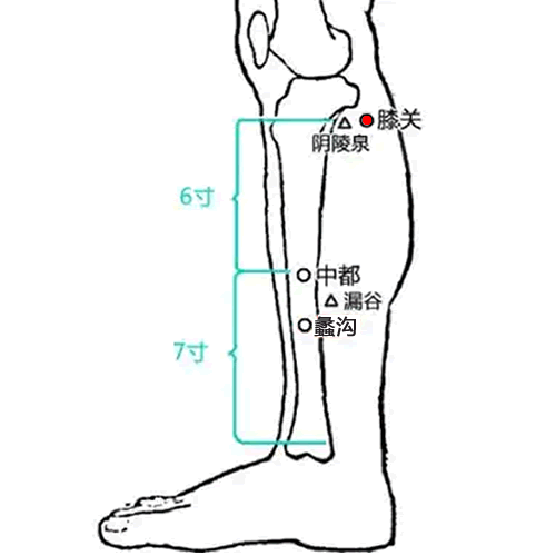 膝关 - 图片1