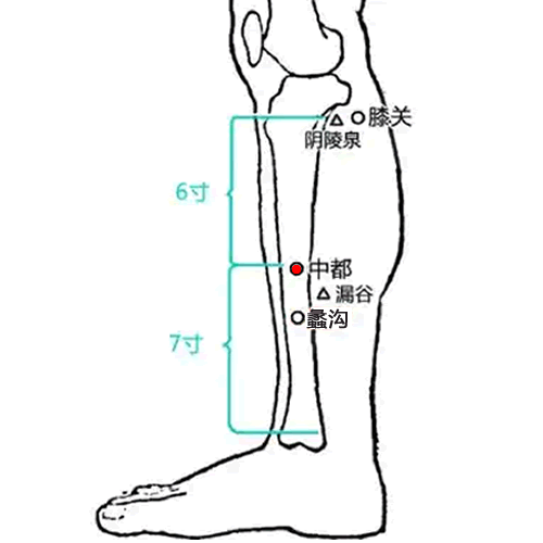 中都 - 图片1