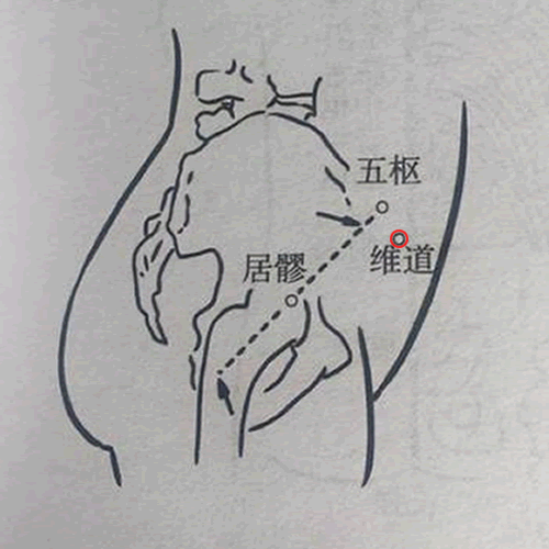 维道 - 图片1