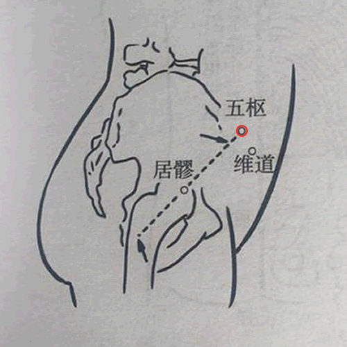五枢 - 图片1