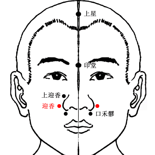 迎香 - 图片1