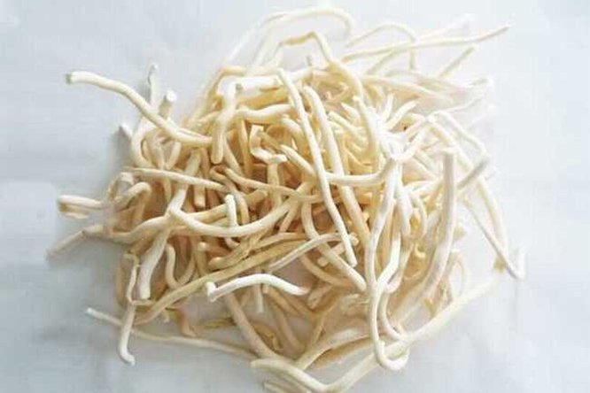 通草 - 图片1