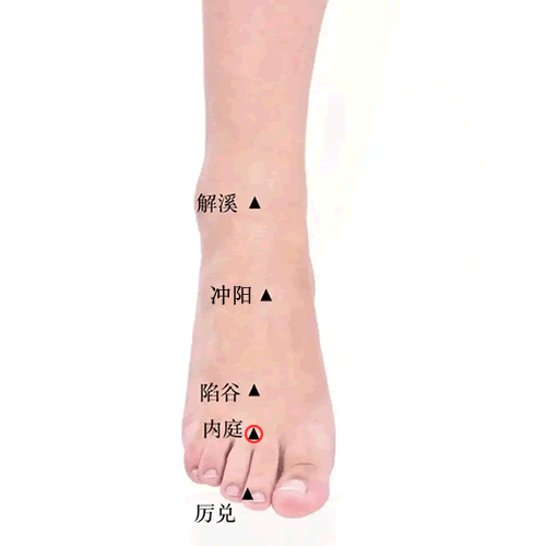 内庭 - 图片1