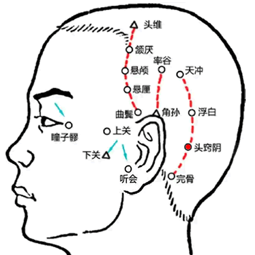 头窍阴 - 图片1