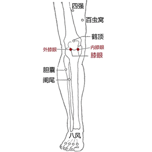 内膝眼 - 图片1