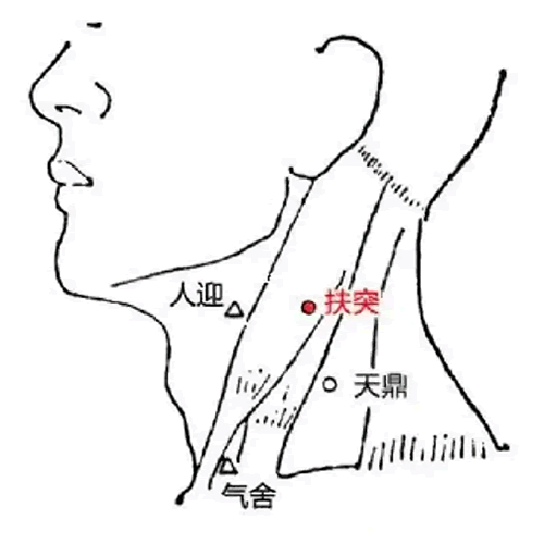 扶突 - 图片1