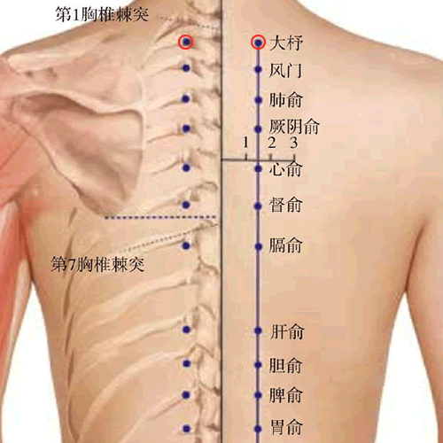 大杼 - 图片1