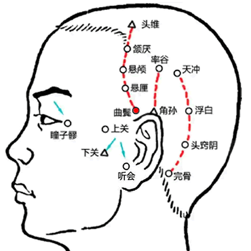 曲鬓 - 图片1