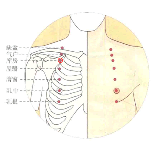库房 - 图片1