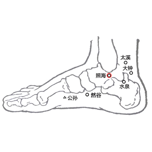 照海 - 图片1