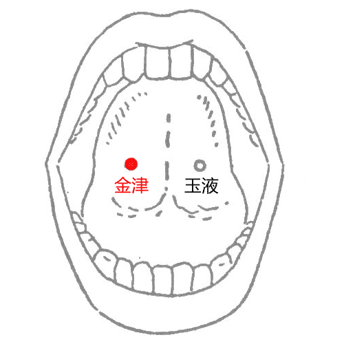 金津、玉液 - 图片1
