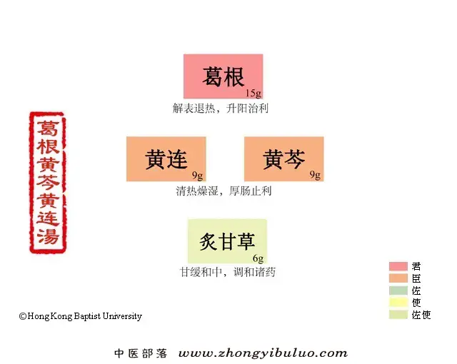 葛根黄芩黄连汤