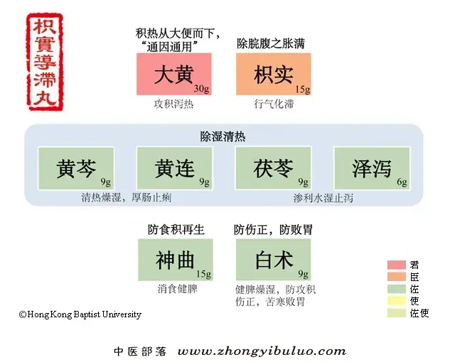 枳实导滞丸
