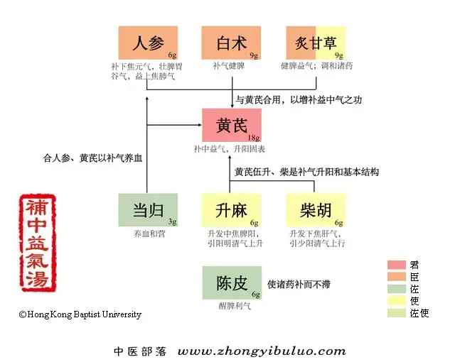 补中益气汤