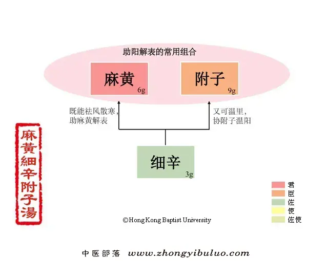 麻黄附子细辛汤 - 图片1