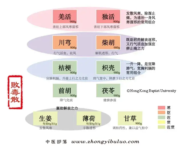 败毒散 - 图片1