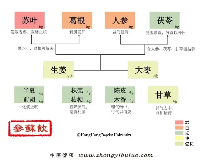 参苏饮 - 图片1