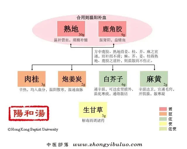 阳和汤