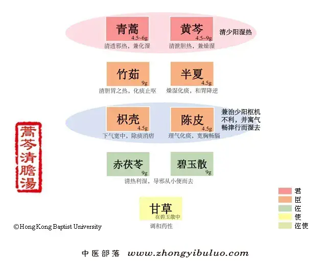 蒿芩清胆汤 - 图片1