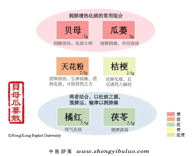 贝母瓜蒌散