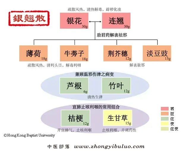 银翘散 - 图片1