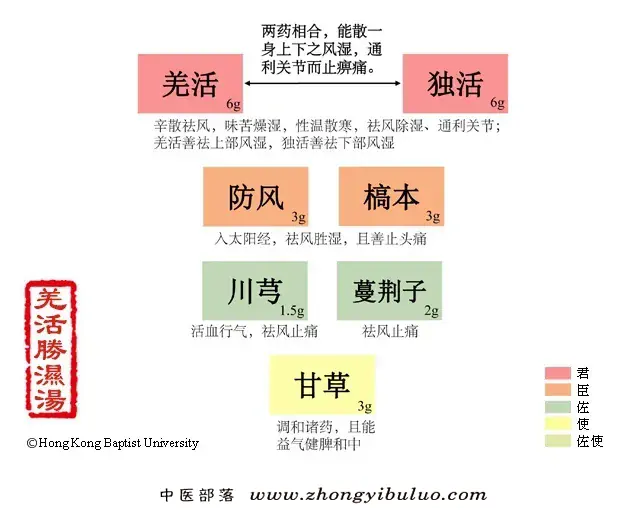 羌活胜湿汤