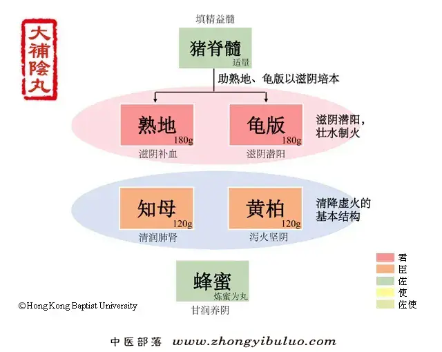 大补阴丸
