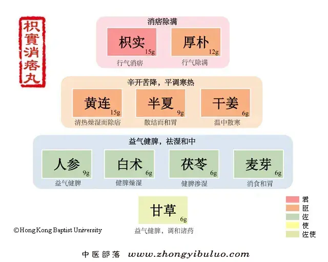 枳实消痞丸