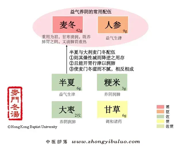 麦门冬汤