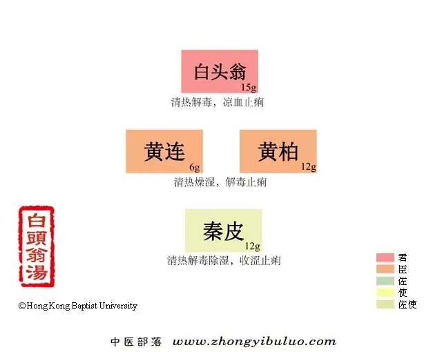 白头翁汤