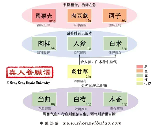 真人养脏汤