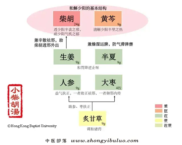 小柴胡汤 - 图片1