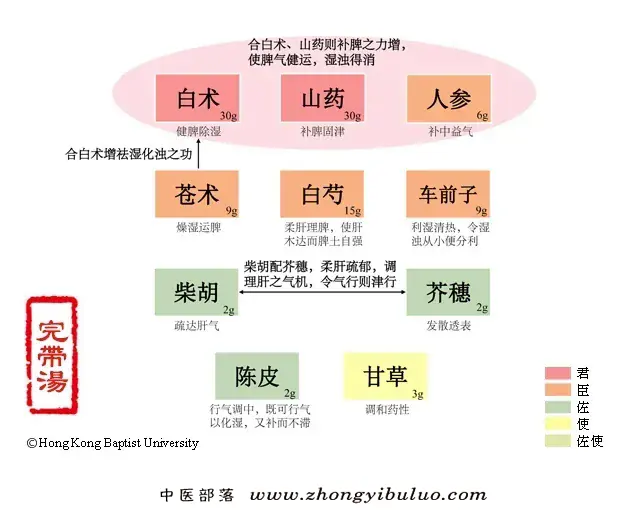 完带汤