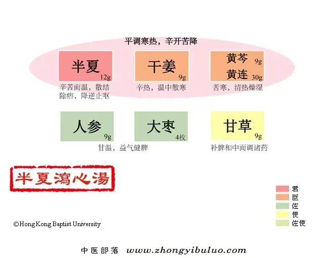 半夏泻心汤 - 图片1