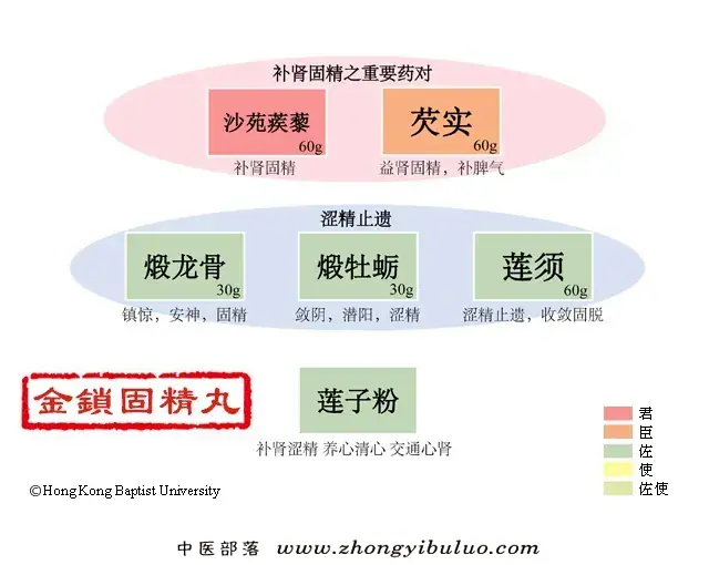 金锁固精丸