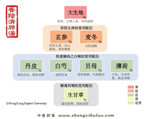 养阴清肺汤