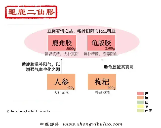 龟鹿二仙胶