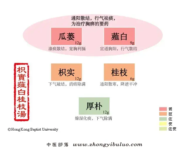 枳实薤白桂枝汤